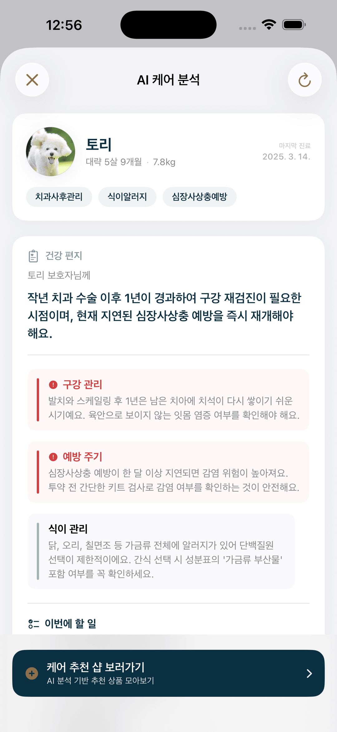 AI 케어 분석 화면